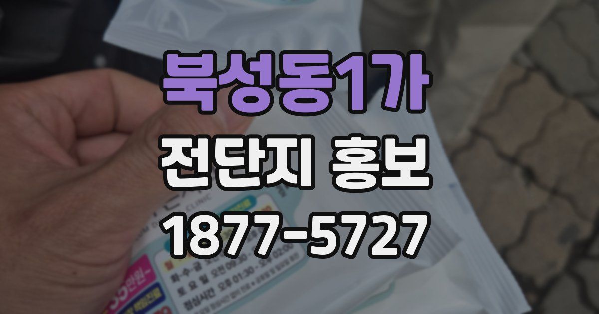 북성동1가 전단지 홍보