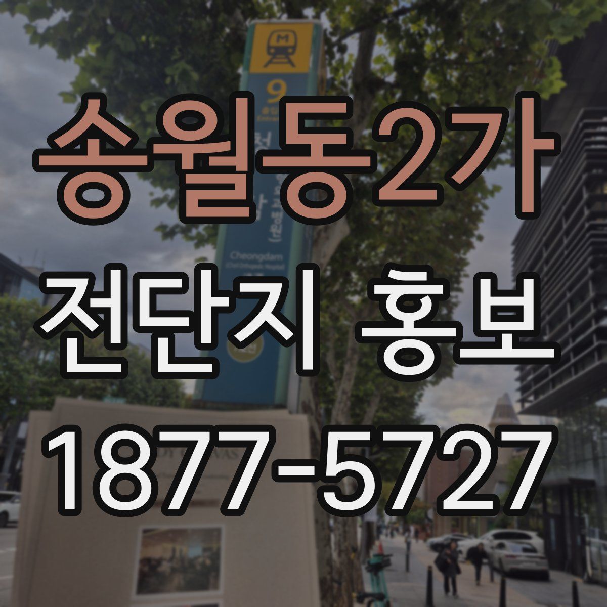 송월동2가 전단지 홍보