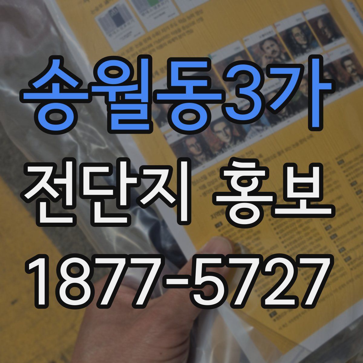 송월동3가 전단지 홍보
