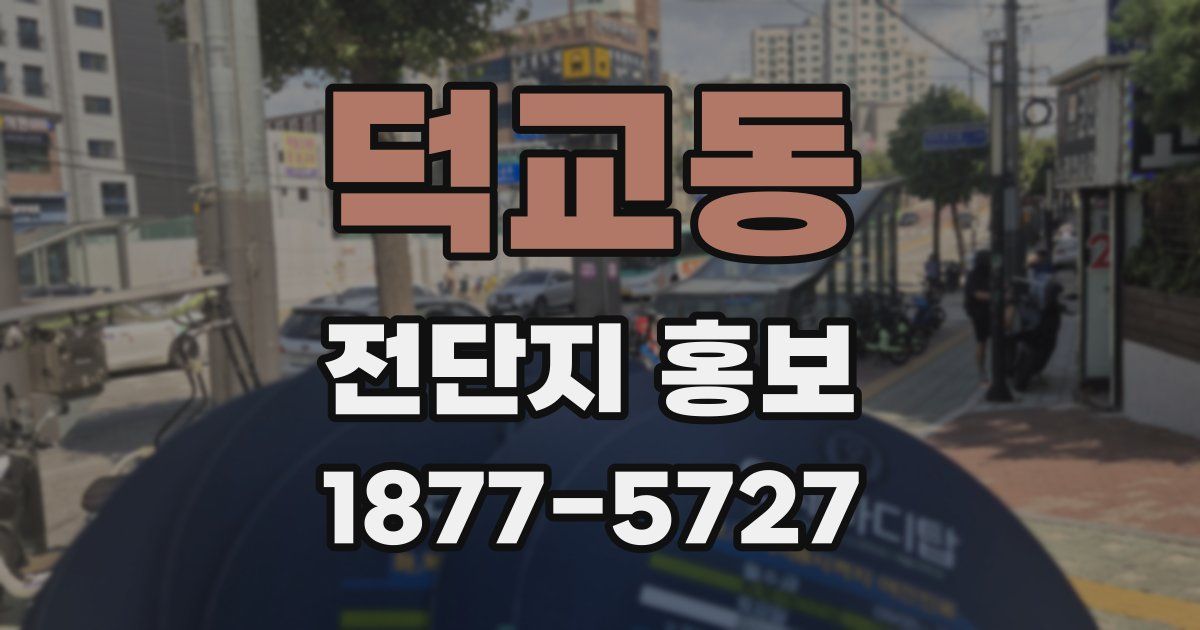 덕교동 전단지 홍보