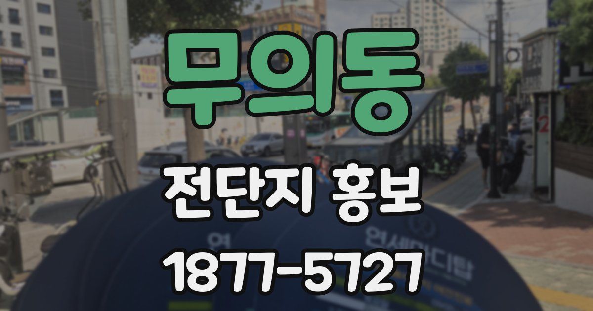 무의동 전단지 홍보