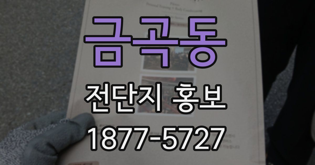 금곡동 전단지 홍보