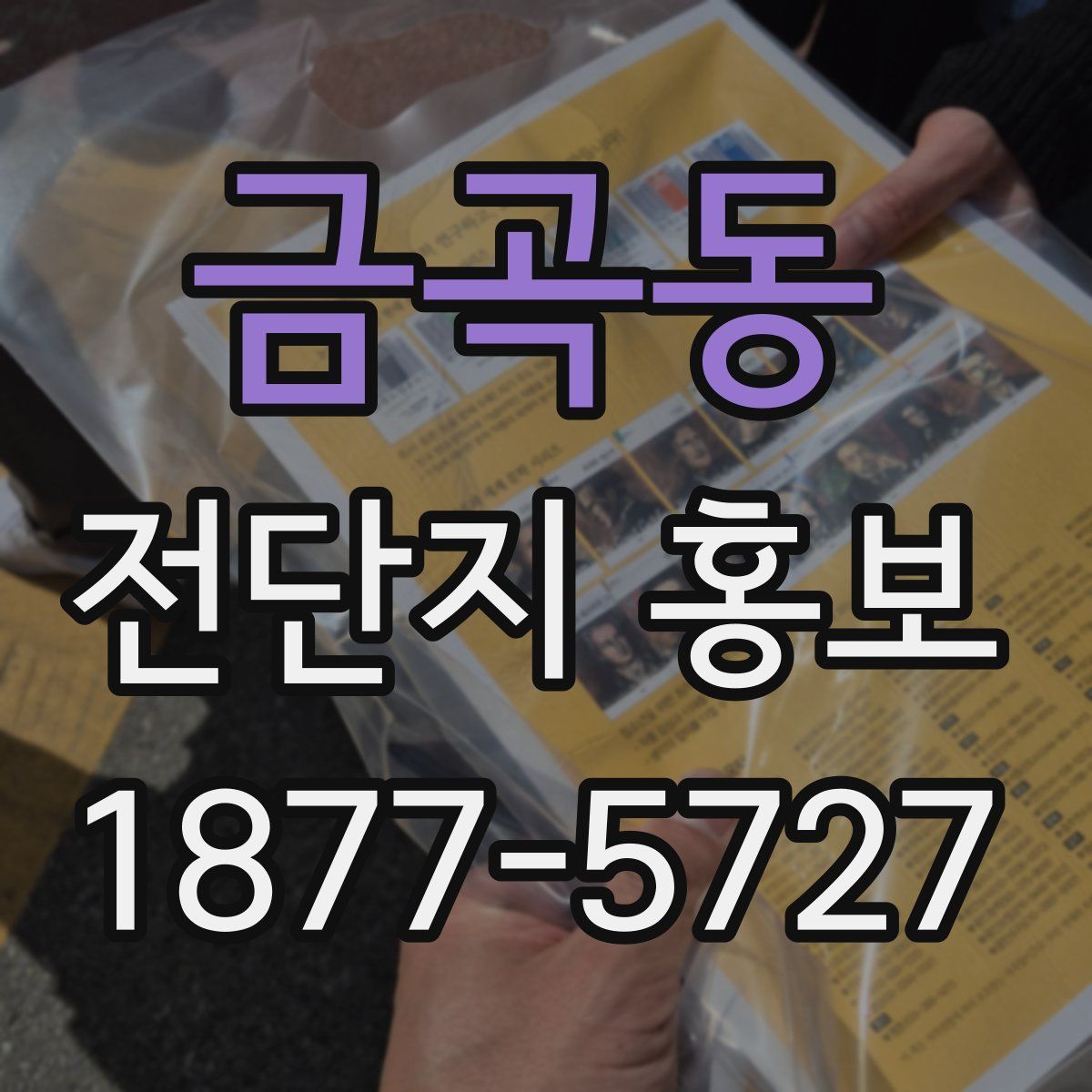 금곡동 전단지 홍보