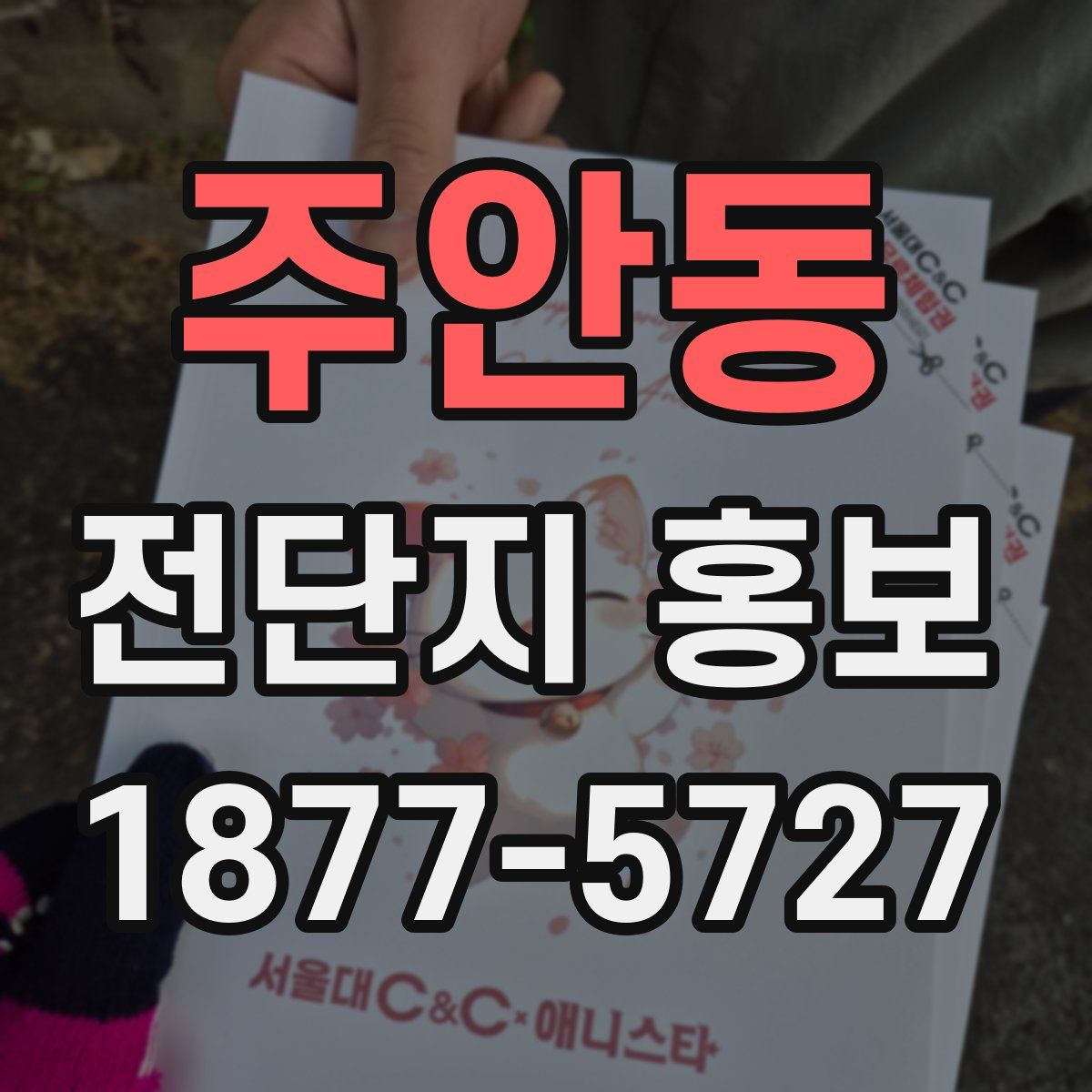 주안동 전단지 홍보