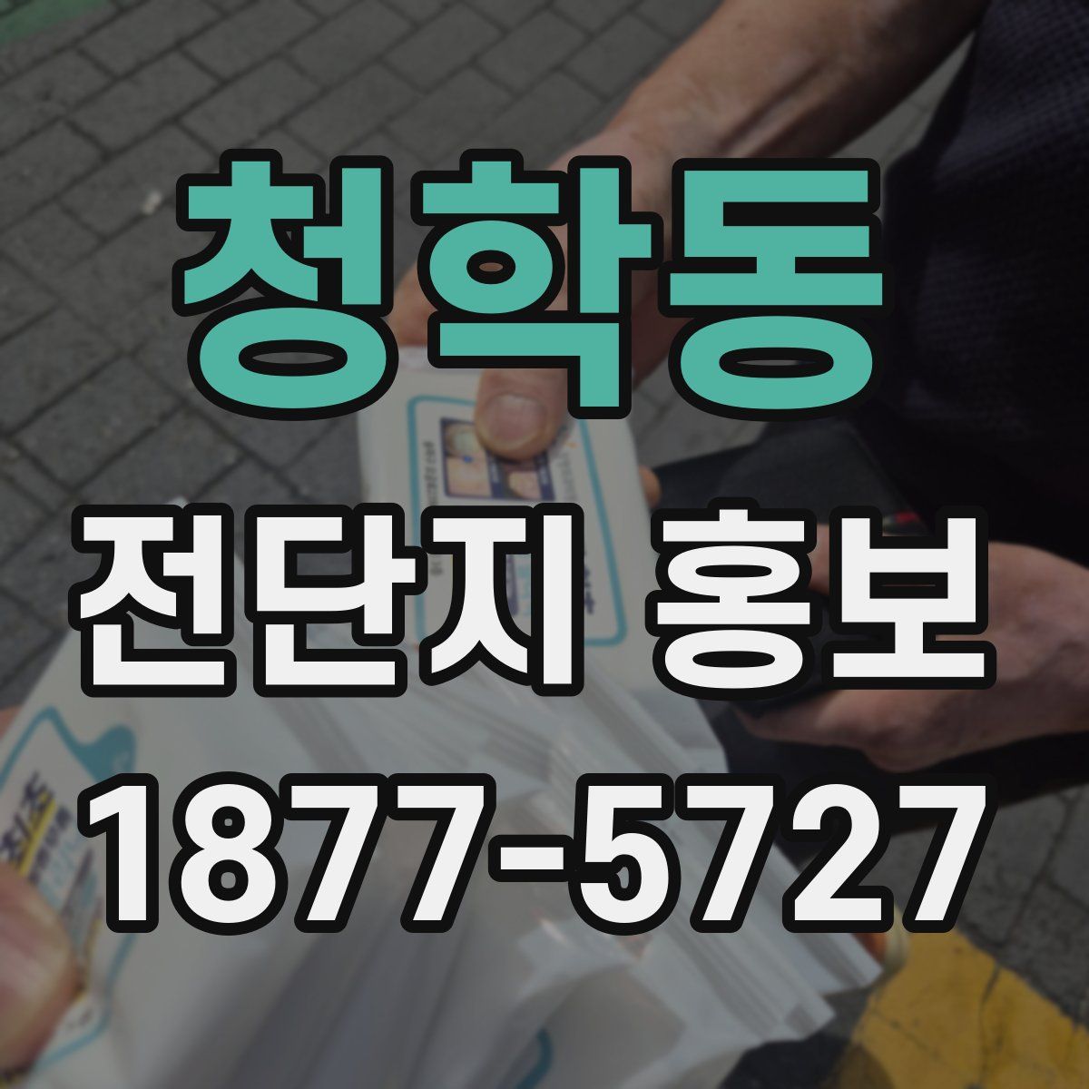 청학동 전단지 홍보
