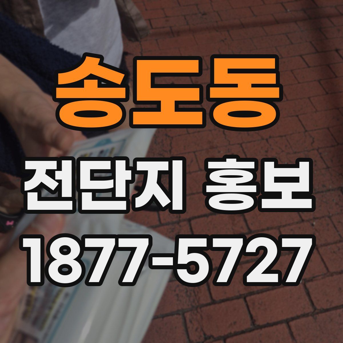 송도동 전단지 홍보
