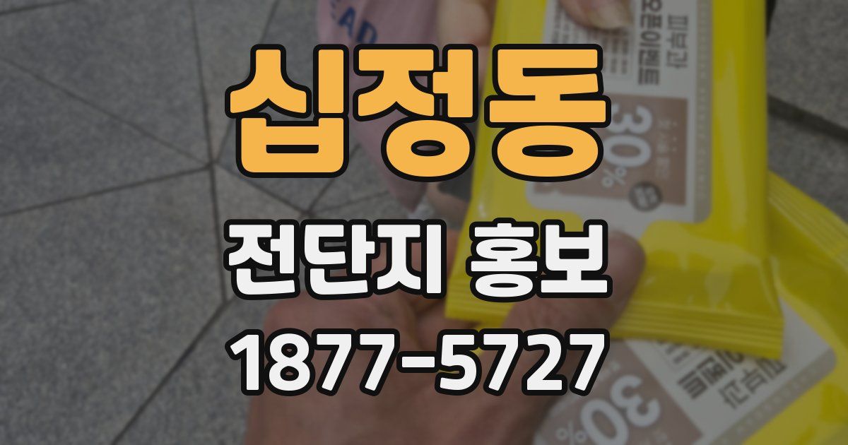 십정동 전단지 홍보
