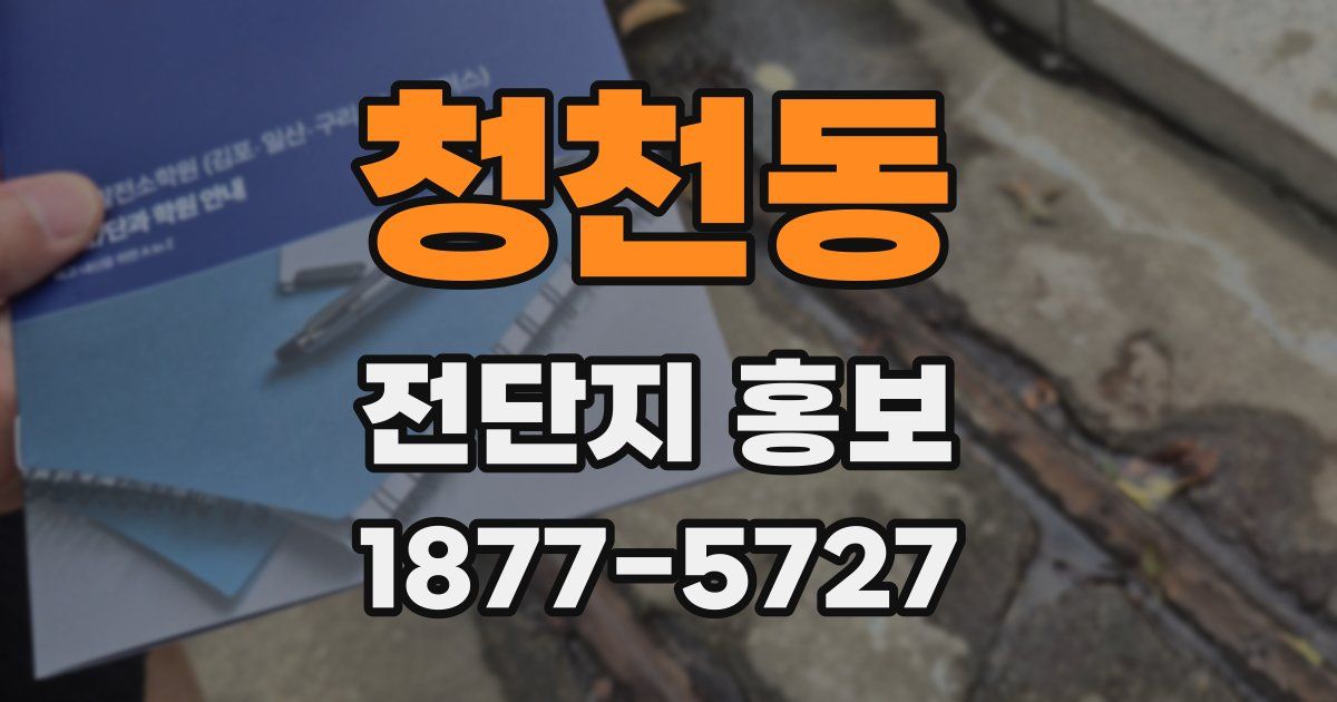 청천동 전단지 홍보