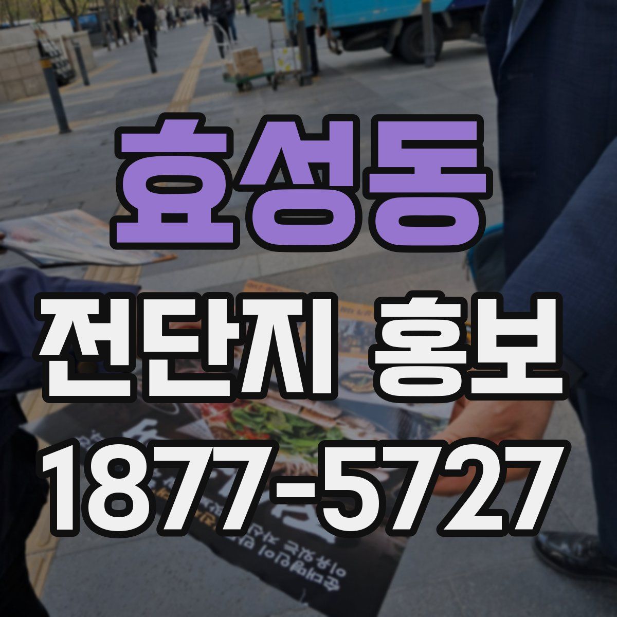 효성동 전단지 홍보