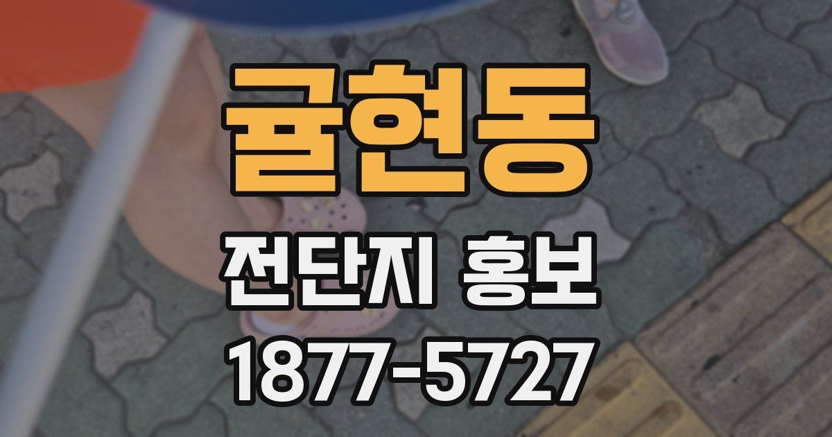 귤현동 전단지 홍보