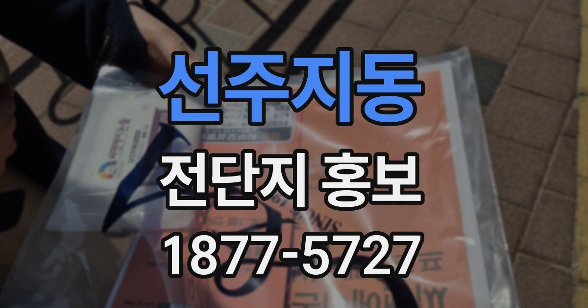 선주지동 전단지 홍보