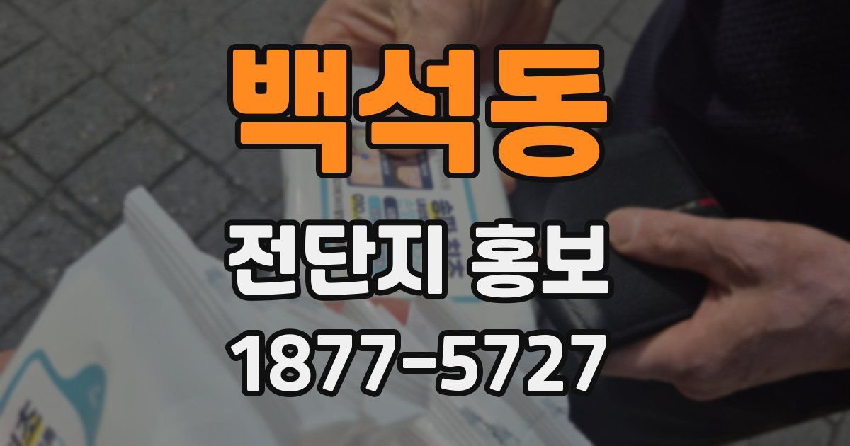 백석동 전단지 홍보