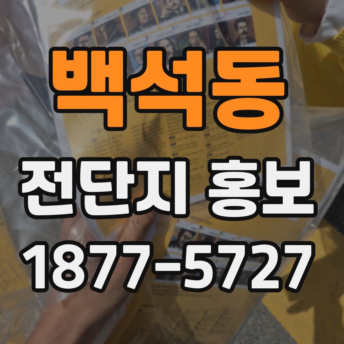 백석동 전단지 홍보