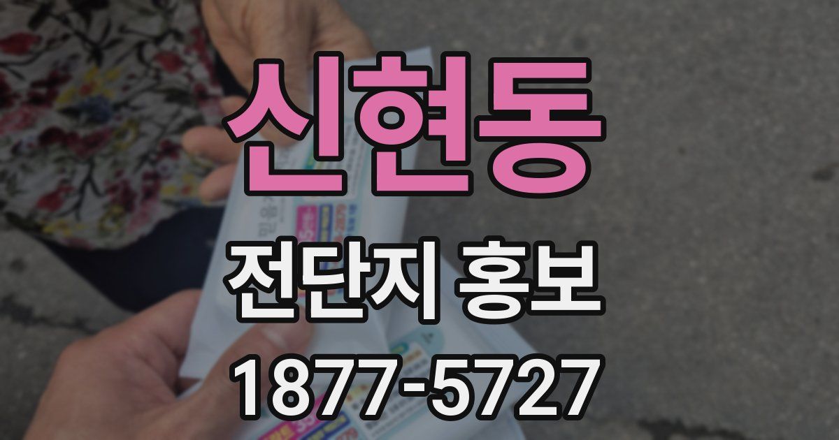 신현동 전단지 홍보