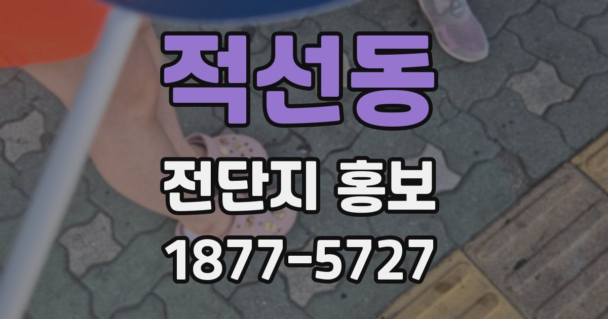 적선동 전단지 홍보