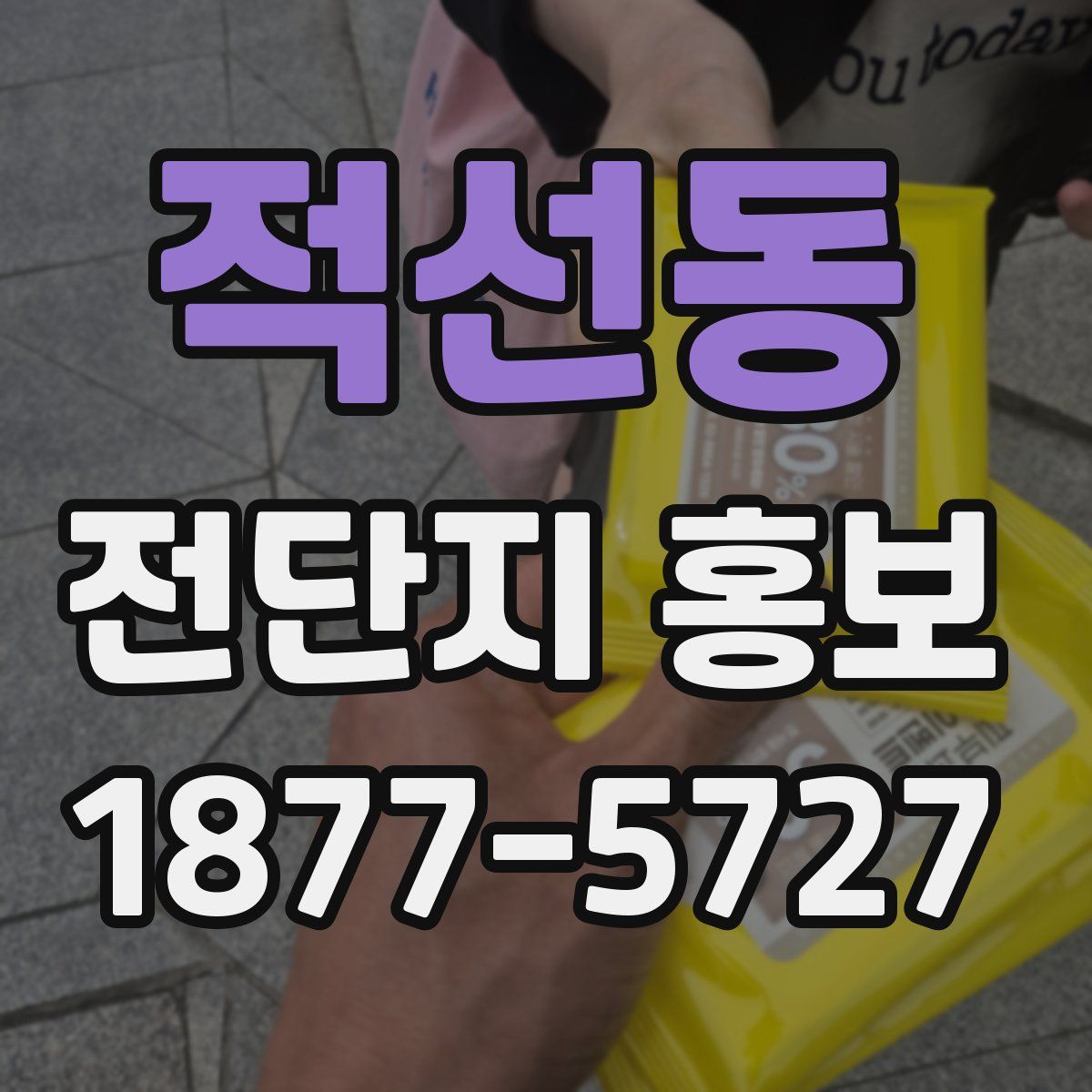 적선동 전단지 홍보