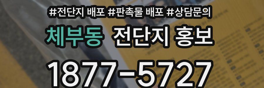 체부동 전단지 홍보