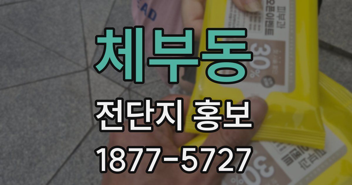 체부동 전단지 홍보
