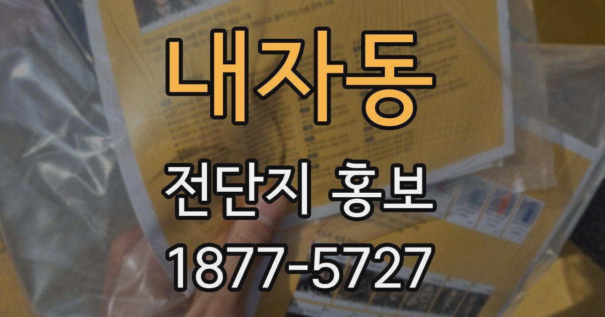 내자동 전단지 홍보