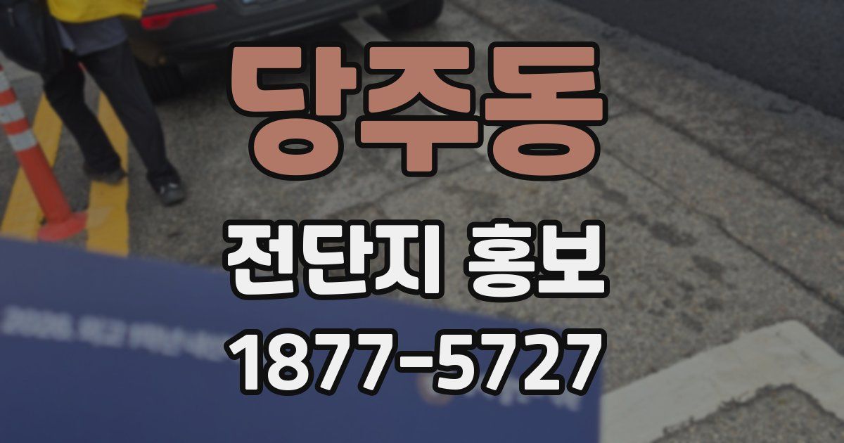 당주동 전단지 홍보