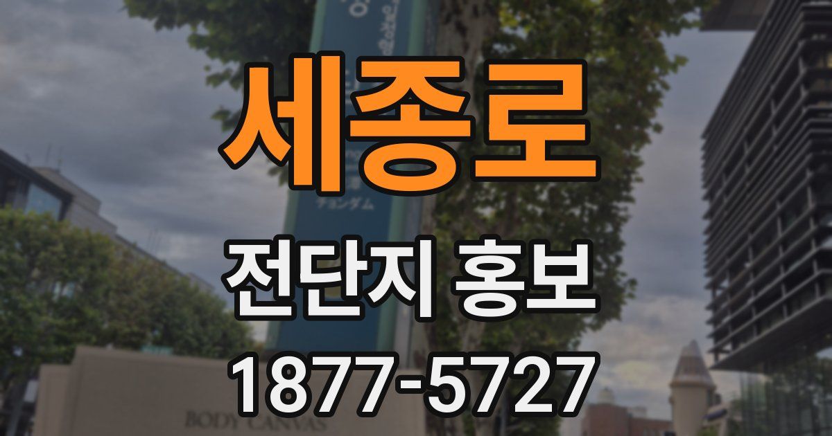 세종로 전단지 홍보