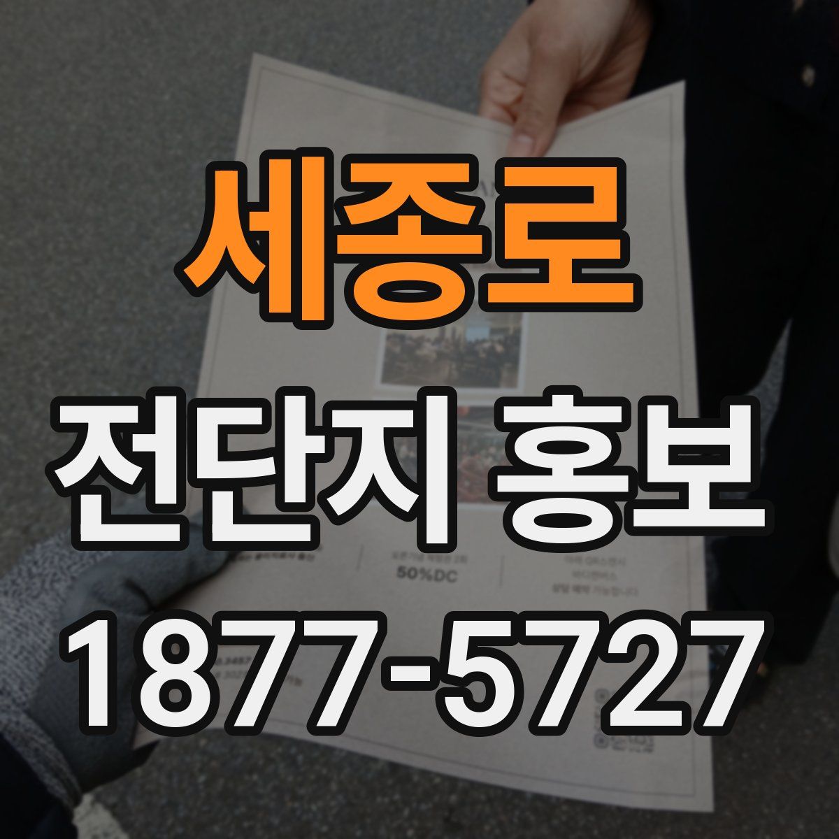 세종로 전단지 홍보