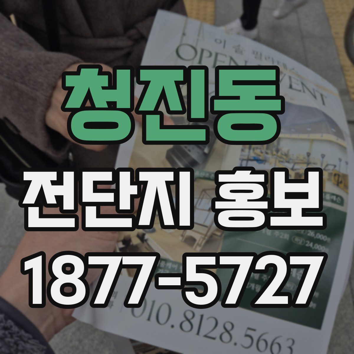 청진동 전단지 홍보