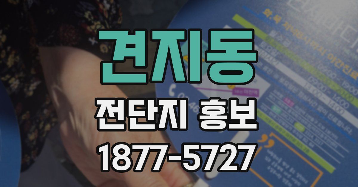 견지동 전단지 홍보