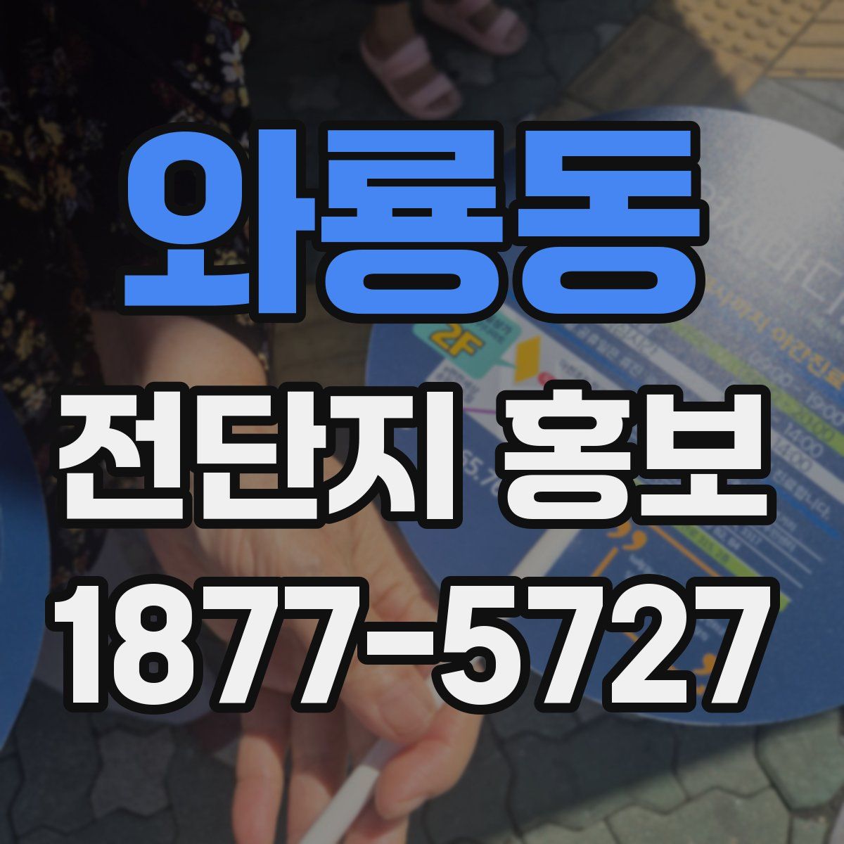 와룡동 전단지 홍보