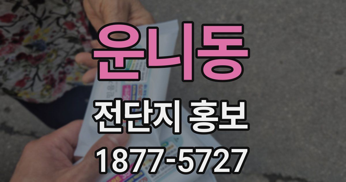운니동 전단지 홍보
