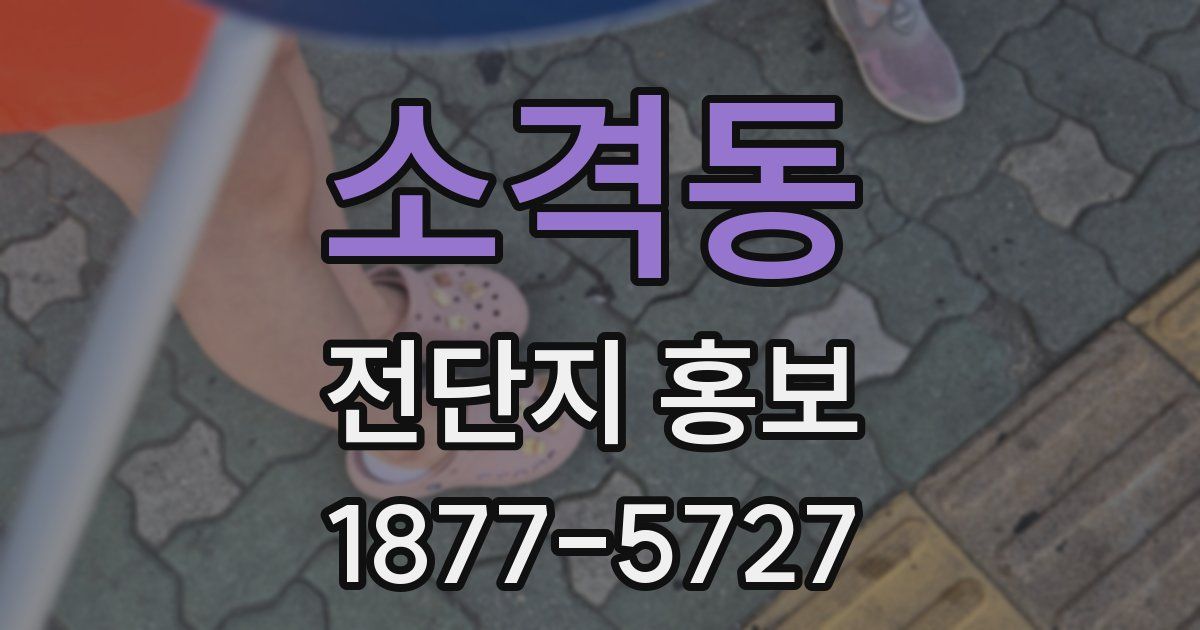 소격동 전단지 홍보