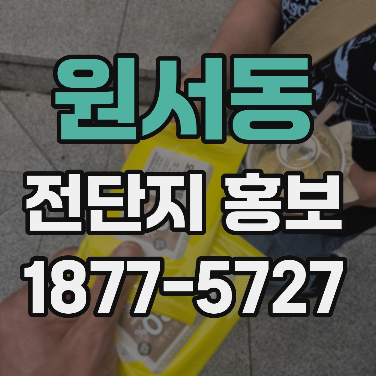 원서동 전단지 홍보