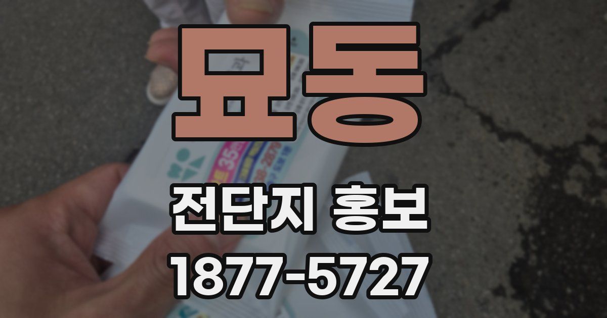 묘동 전단지 홍보