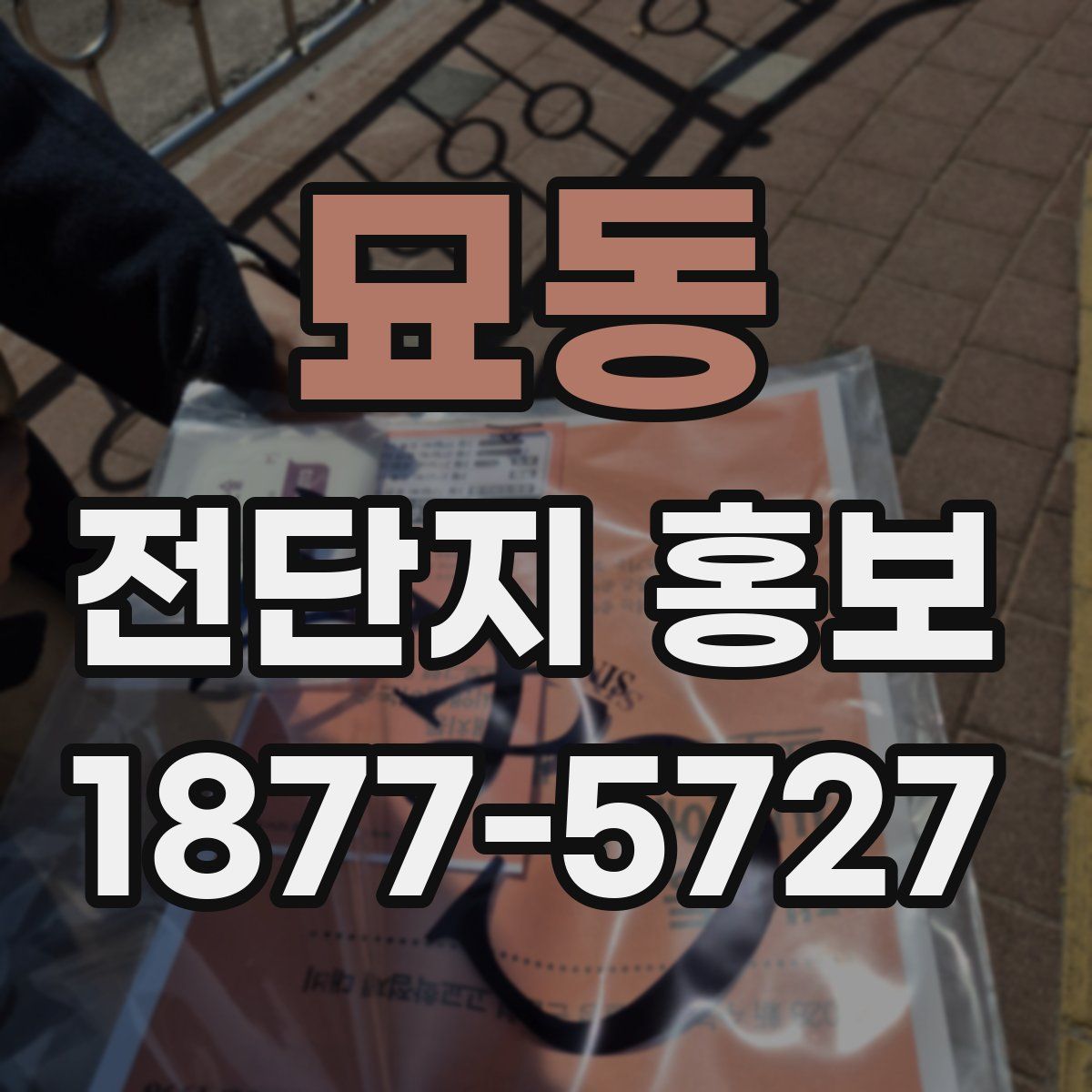 묘동 전단지 홍보