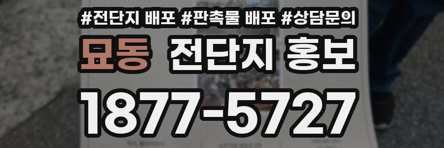 묘동 전단지 홍보