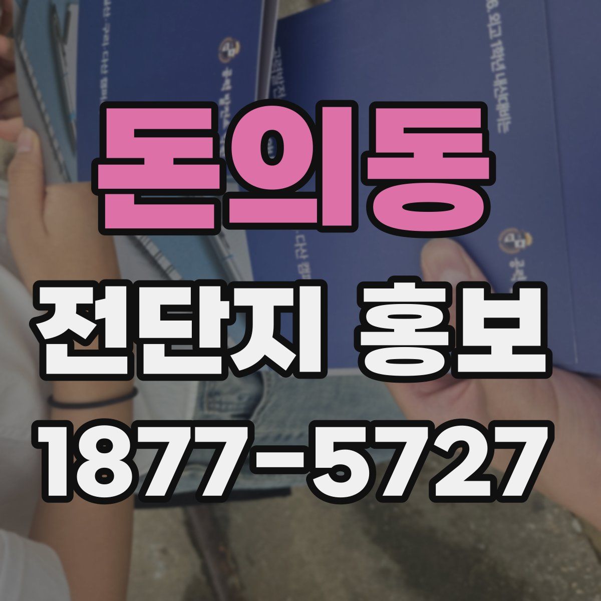 돈의동 전단지 홍보
