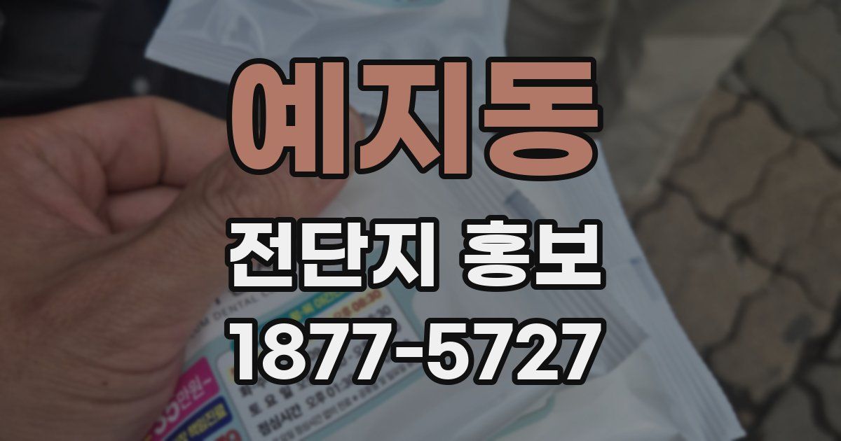 예지동 전단지 홍보