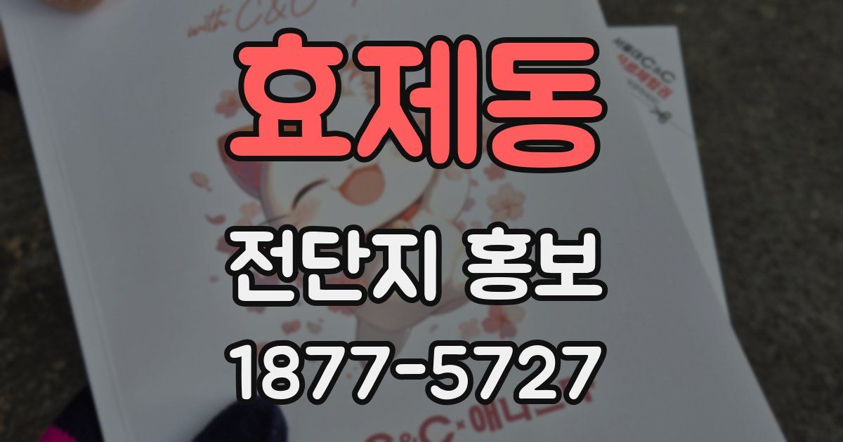 효제동 전단지 홍보