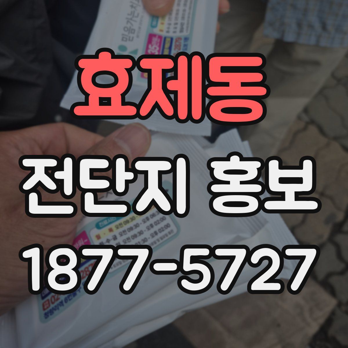 효제동 전단지 홍보