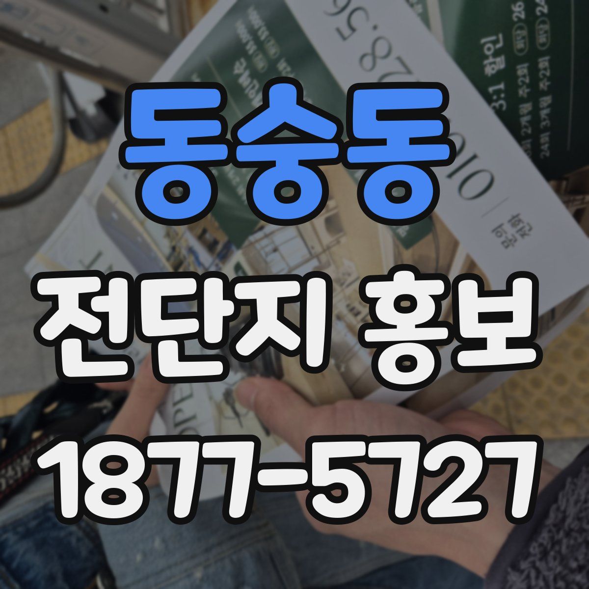 동숭동 전단지 홍보
