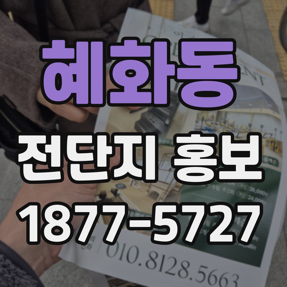 혜화동 전단지 홍보