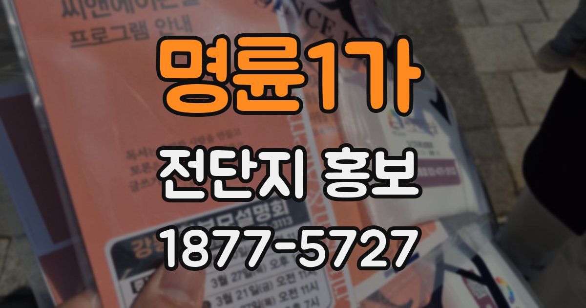 명륜1가 전단지 홍보