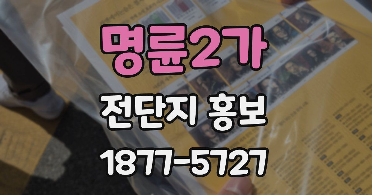 명륜2가 전단지 홍보