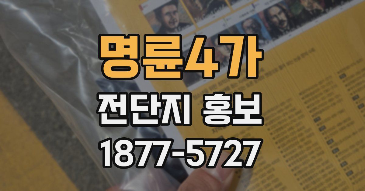 명륜4가 전단지 홍보