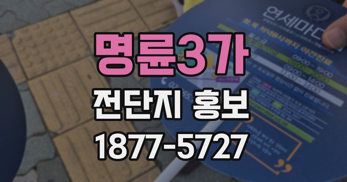 명륜3가 전단지 홍보