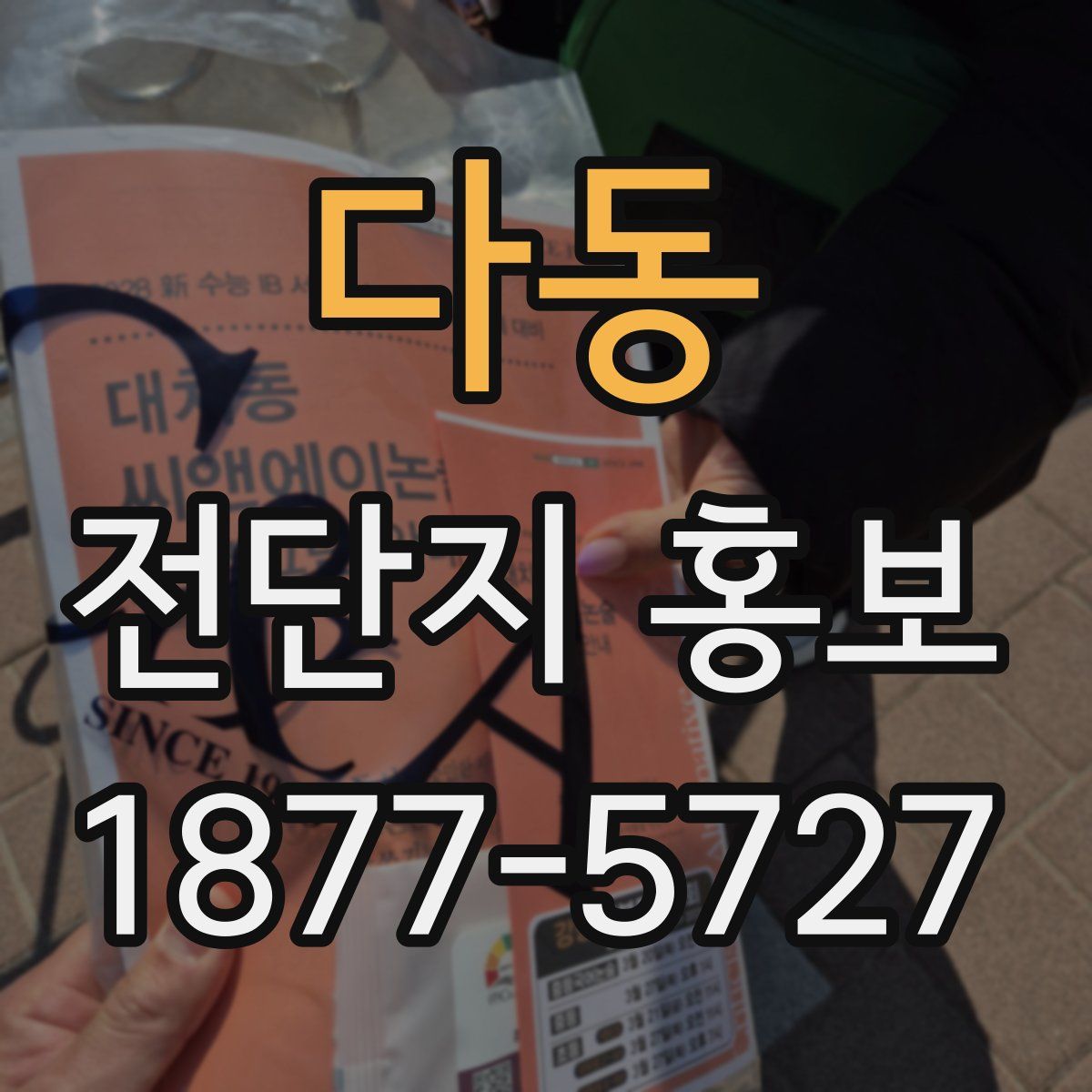 다동 전단지 홍보