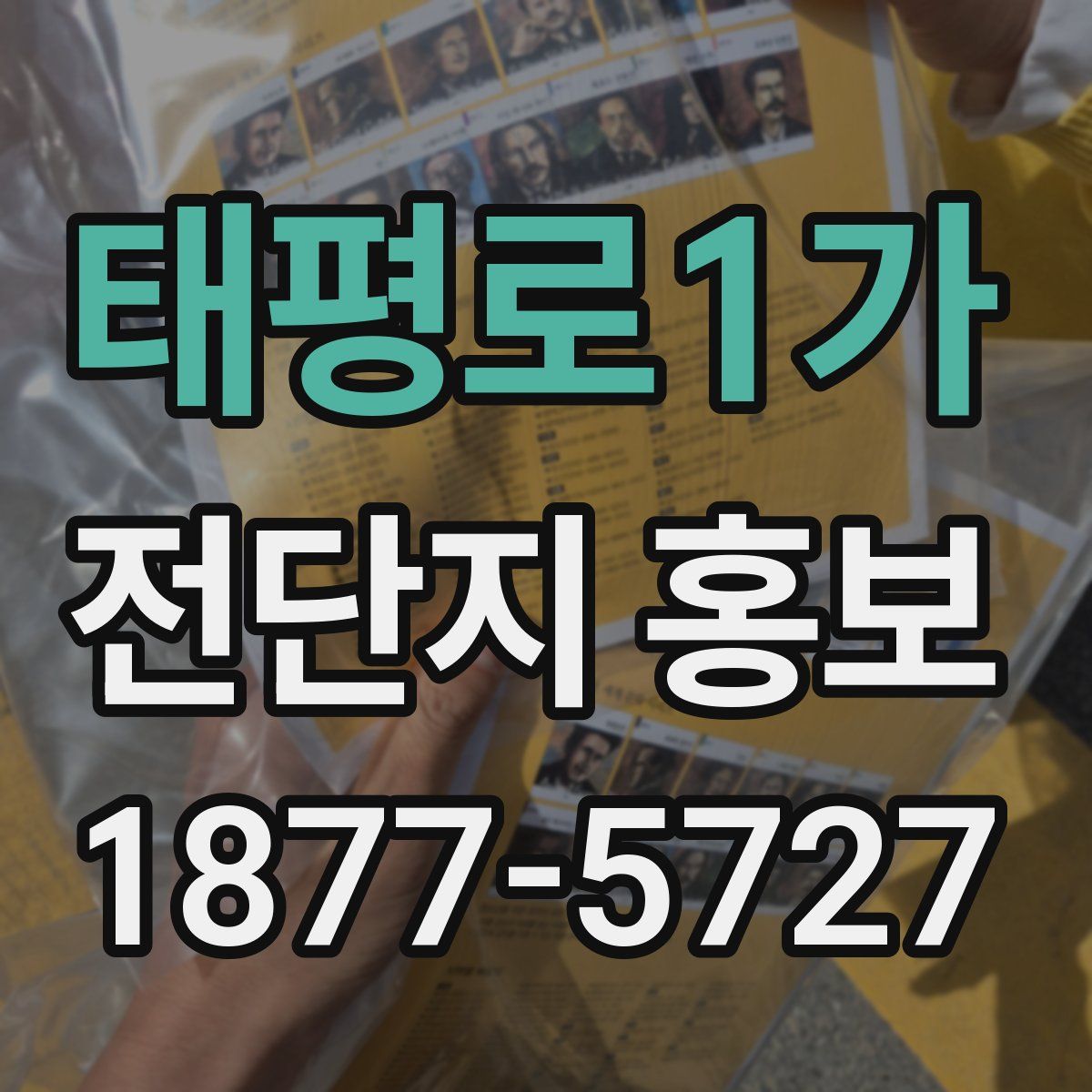 태평로1가 전단지 홍보