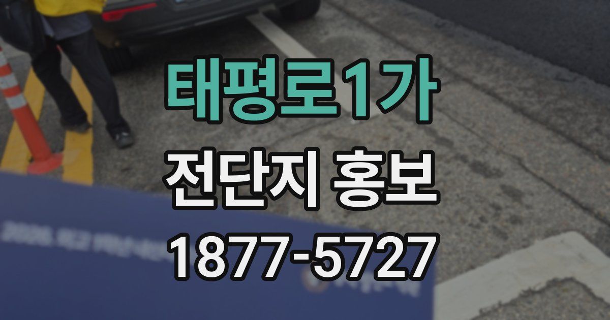 태평로1가 전단지 홍보