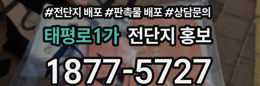 태평로1가 전단지 홍보