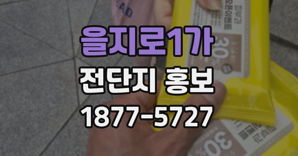 을지로1가 전단지 홍보